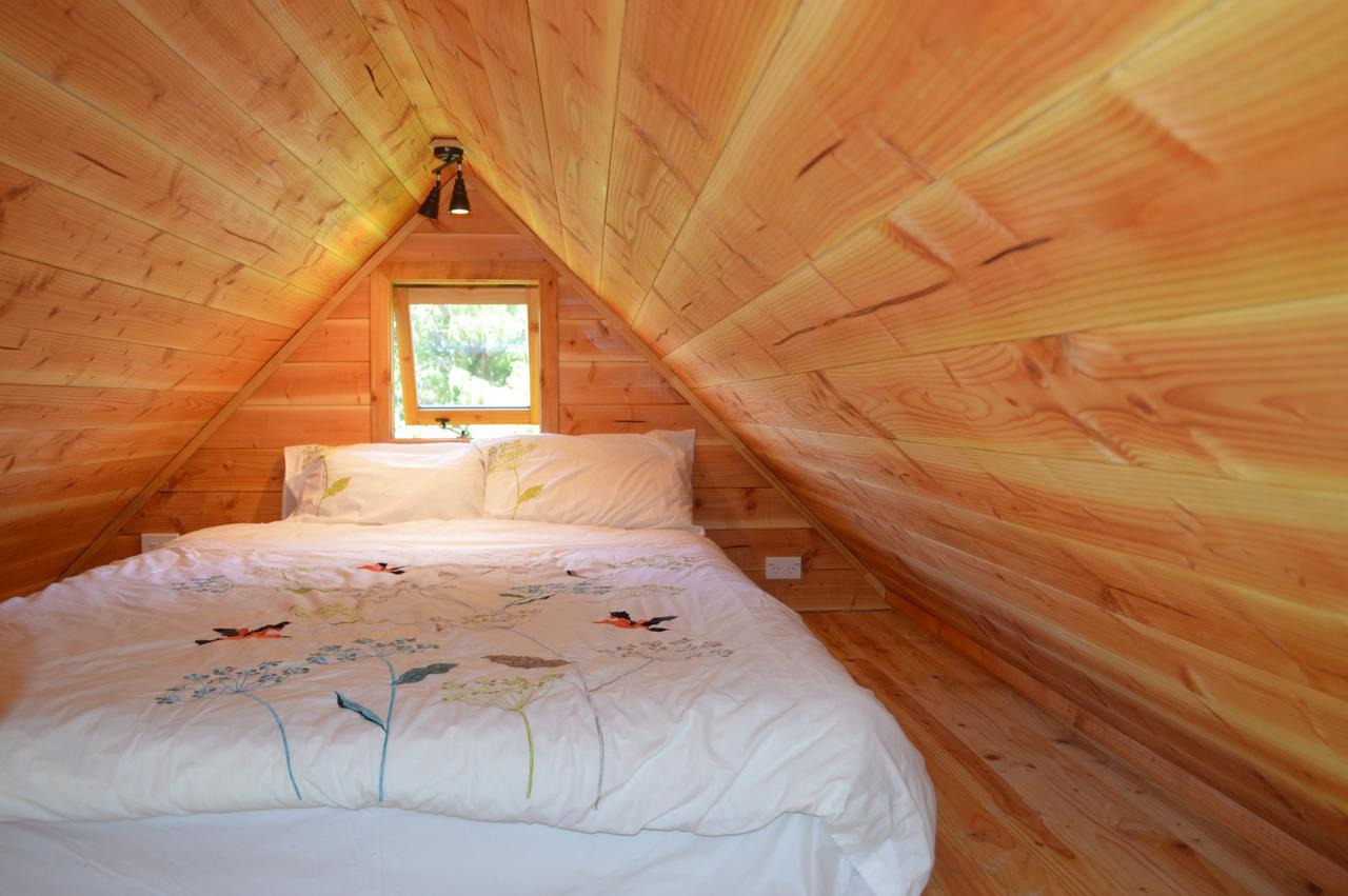 Sunrise Cabin At First Light Rangihaeata Retreat Takaka Dış mekan fotoğraf